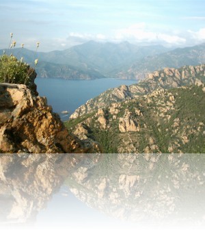 corse_20mai_202003_2027++